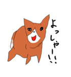 喜寿を迎えた田舎の柴犬（個別スタンプ：33）