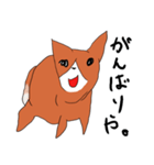 喜寿を迎えた田舎の柴犬（個別スタンプ：34）