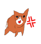 喜寿を迎えた田舎の柴犬（個別スタンプ：40）