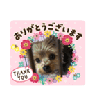 小鉄の1日（個別スタンプ：10）