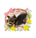 小鉄の1日（個別スタンプ：11）