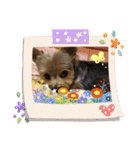 小鉄の1日（個別スタンプ：13）