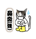 ワカメ④（個別スタンプ：1）