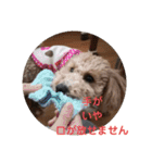 のんちゃん 1（個別スタンプ：22）