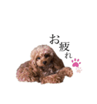 R ＆K（個別スタンプ：28）
