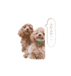 R ＆K（個別スタンプ：34）