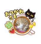 クッキーのちびっ子（個別スタンプ：3）
