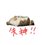 野良猫スタンプ3（個別スタンプ：4）