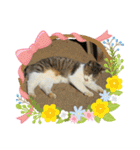 野良猫スタンプ3（個別スタンプ：23）