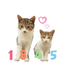 野良猫スタンプ3（個別スタンプ：32）