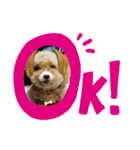 ラキクキマフィ（個別スタンプ：2）
