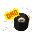 ラキクキマフィ（個別スタンプ：12）