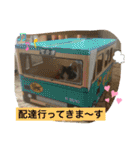 白猫ピーちゃん（個別スタンプ：19）