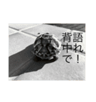 ヤモリと亀とうさぎ（個別スタンプ：7）