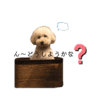 フーちゃんの日常スタンプ（個別スタンプ：14）