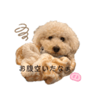 フーちゃんの日常スタンプ（個別スタンプ：18）