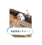 フーちゃんの日常スタンプ（個別スタンプ：22）