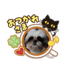 我が家のシーズー犬もじゃ 11（個別スタンプ：22）