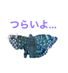 自然の生き物3（個別スタンプ：1）
