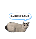 自然の生き物3（個別スタンプ：4）