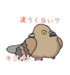 ふっくらカワラバトのスタンプ（個別スタンプ：36）