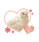 気まぐれぽっぽ（個別スタンプ：3）