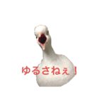気まぐれぽっぽ（個別スタンプ：5）