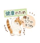体調気遣い☆猫たちのスタンプ（個別スタンプ：6）