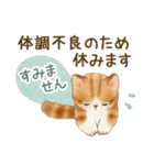 体調気遣い☆猫たちのスタンプ（個別スタンプ：33）