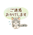 体調気遣い☆猫たちのスタンプ（個別スタンプ：34）