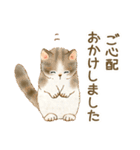 体調気遣い☆猫たちのスタンプ（個別スタンプ：36）