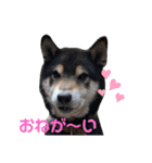 うちのオハナ（個別スタンプ：13）