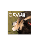 うちのオハナ（個別スタンプ：14）