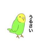 あにまーるど（個別スタンプ：13）