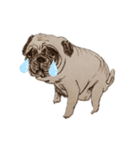 pooping dogs（個別スタンプ：1）
