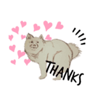pooping dogs（個別スタンプ：5）
