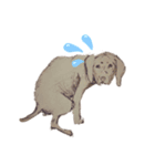 pooping dogs（個別スタンプ：6）
