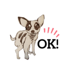pooping dogs（個別スタンプ：8）