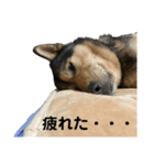 マメちゃんの日常2（個別スタンプ：6）