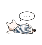 しゅとワンのスタンプ そのに（個別スタンプ：22）