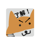 柴キツネのスタンプ（個別スタンプ：5）