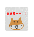 柴キツネのスタンプ（個別スタンプ：7）