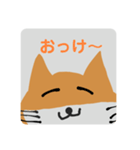 柴キツネのスタンプ（個別スタンプ：9）