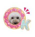 可愛い愛犬 愛猫シリーズ（個別スタンプ：25）