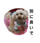 可愛い愛犬 愛猫シリーズ（個別スタンプ：29）