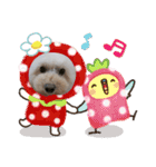 可愛い愛犬 愛猫シリーズ（個別スタンプ：37）