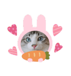 可愛い愛犬 愛猫シリーズ（個別スタンプ：39）
