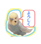 我が家の小さな家族1（個別スタンプ：4）