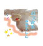 我が家の小さな家族1（個別スタンプ：5）