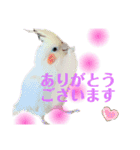 我が家の小さな家族1（個別スタンプ：6）